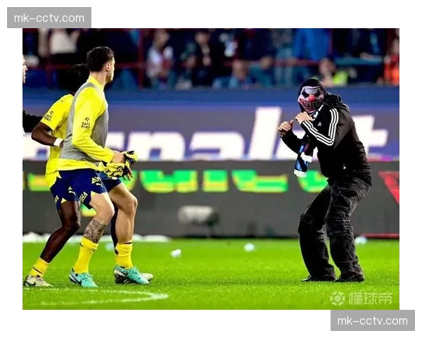 针对球迷投掷杂物事件,德甲联盟重申将加强球场安检力度 针对球迷投掷杂物事件,德甲联盟重申将加强球场安检力度